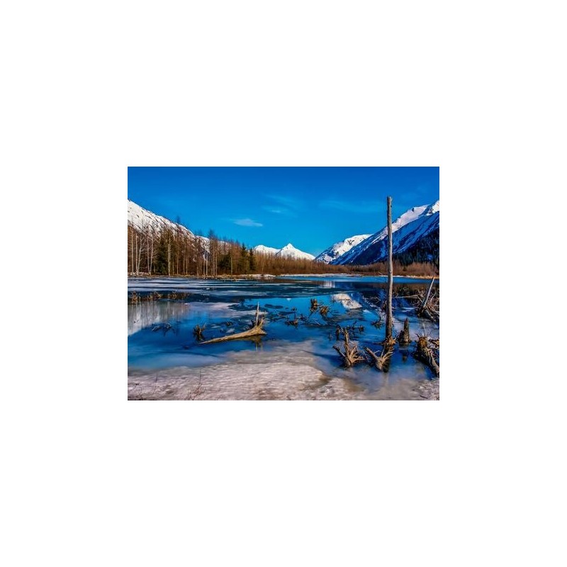 Kombinationsreisen Alaska & Kanada: Rundreise von Anchorage bis Seward & Kreuzfahrt mit der Celebrity Summit bis Vancouver