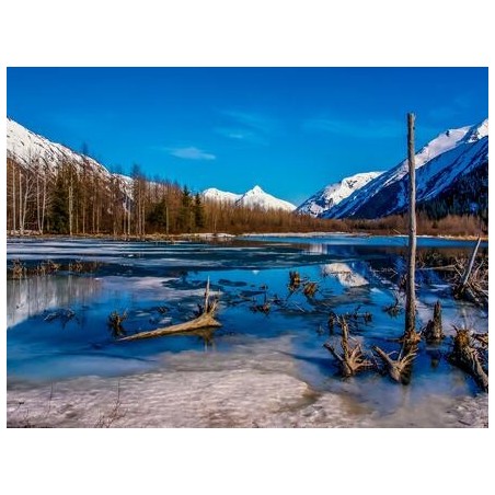 Kombinationsreisen Alaska & Kanada: Rundreise von Anchorage bis Seward & Kreuzfahrt mit der Celebrity Summit bis Vancouver