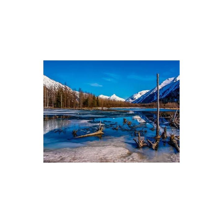 Kombinationsreisen Alaska & Kanada: Rundreise von Anchorage bis Seward & Kreuzfahrt mit der Celebrity Summit bis Vancouver