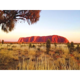 Kombinationsreisen Australien & Neuseeland: Sydney, Ayers Rock & Milford Sound entdecken