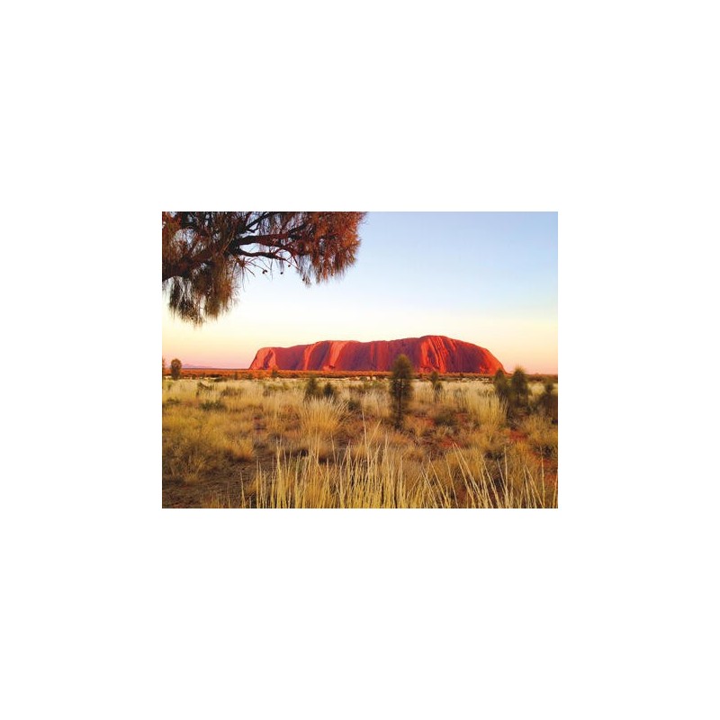 Kombinationsreisen Australien & Neuseeland: Sydney, Ayers Rock & Milford Sound entdecken