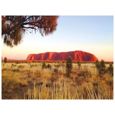 Kombinationsreisen Australien & Neuseeland: Sydney, Ayers Rock & Milford Sound entdecken