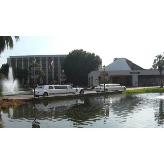 Wyndham Orlando Resort & Conference Center, Celebration Area