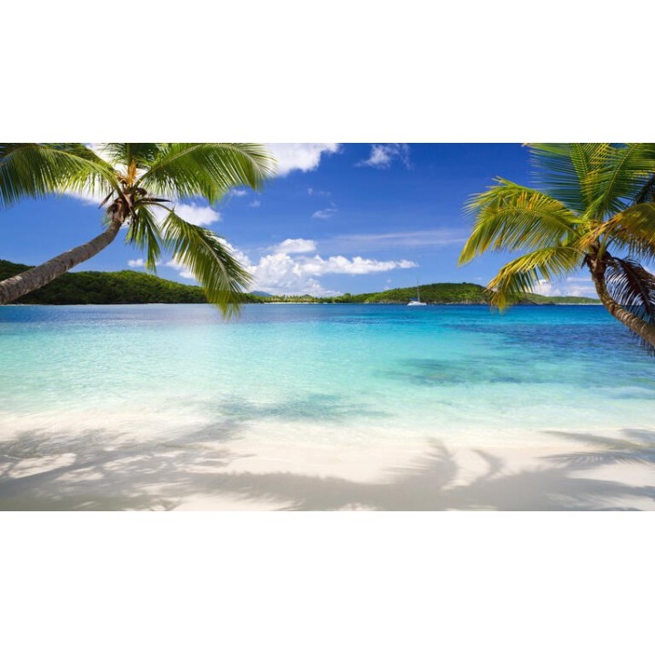 Kreuzfahrten Transatlantik: Kreuzfahrt mit MSC Virtuosa von Rotterdam bis Fort-de-France