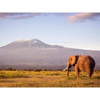 Kombinationsreisen Tansania & Kenia: Elefanten, Savannen & weiße Strände