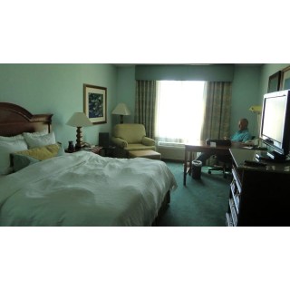 Hotel Hilton Garden Inn Orlando International Drive North