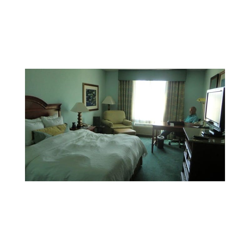 Hotel Hilton Garden Inn Orlando International Drive North