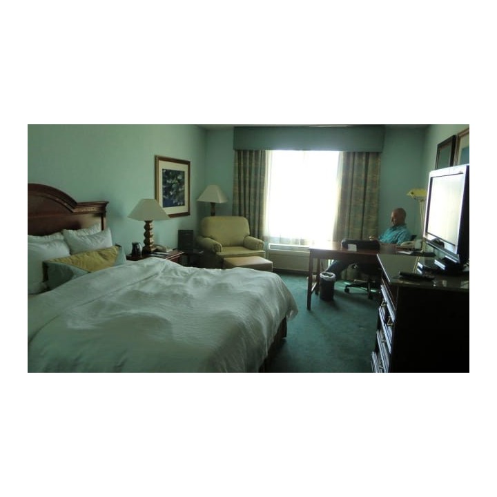 Hotel Hilton Garden Inn Orlando International Drive North