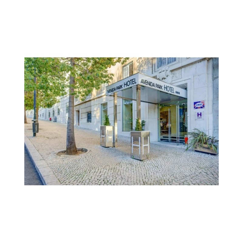Hotel Avenida Park