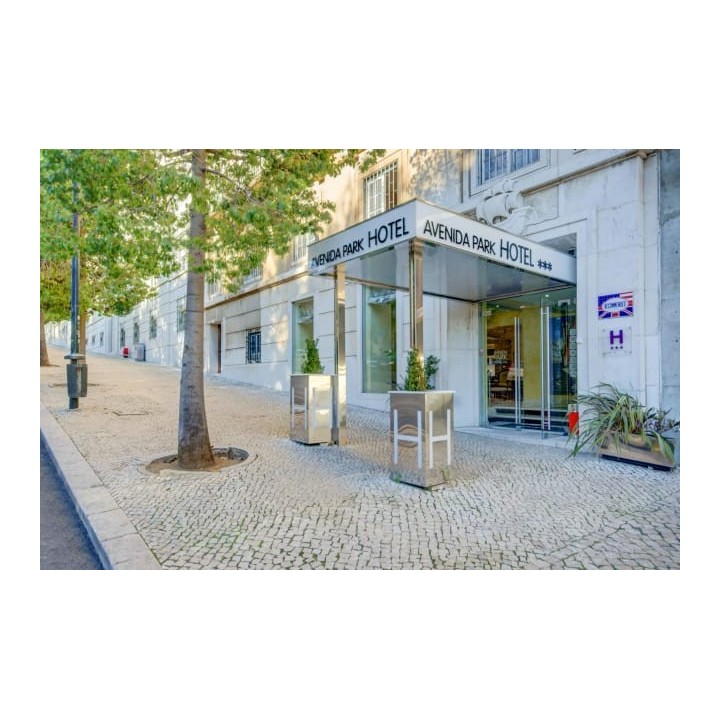 Hotel Avenida Park