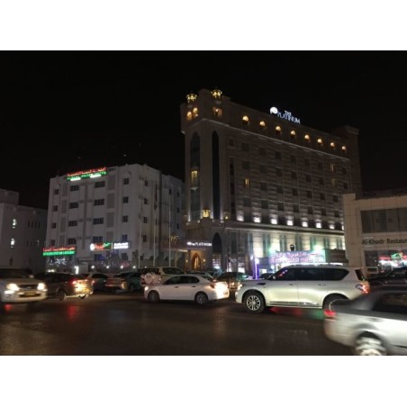 Hotel The Platinum