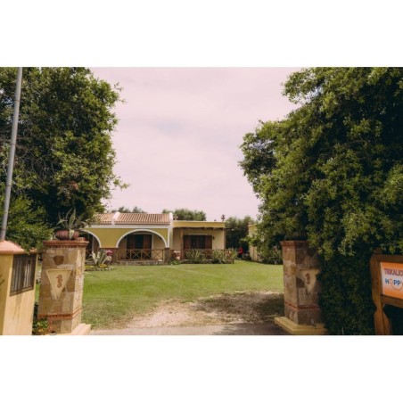 Ferienwohnung in Ileia ab 41€ pro Nacht