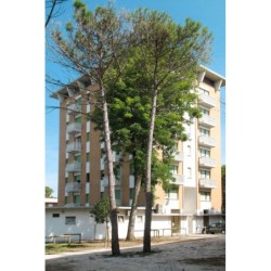 Ferienwohnung in Bibione ab 57€ pro Nacht