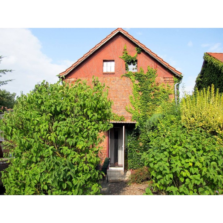 Ferienhaus in Müritz ab 50€ pro Nacht