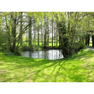 Ferienhaus in Manche ab 53€ pro Nacht