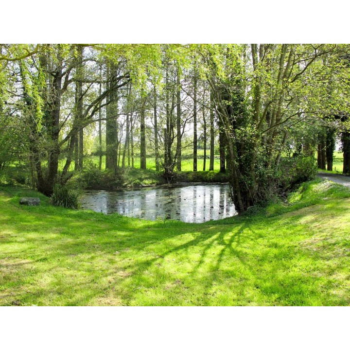 Ferienhaus in Manche ab 53€ pro Nacht