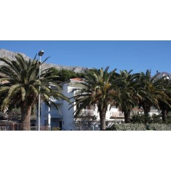 Ferienwohnung in Duće ab 44€ pro Nacht