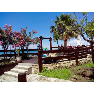 Clover Magic Nova Beach