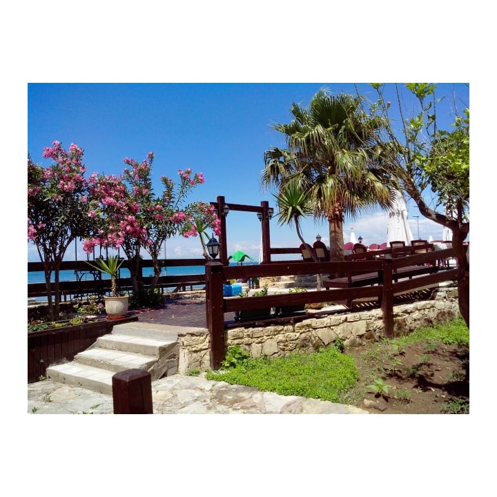 Clover Magic Nova Beach