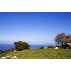 Ferienwohnung in Elba ab 51€ pro Nacht
