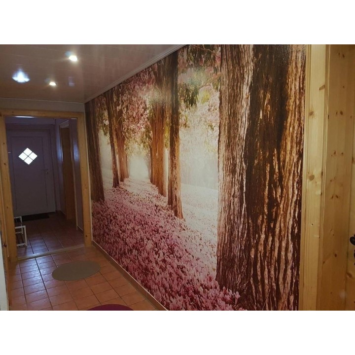 Ferienwohnung in Harz ab 42€ pro Nacht