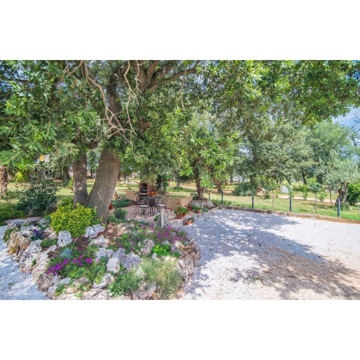 Ferienwohnung in Novigrad ab 56€ pro Nacht