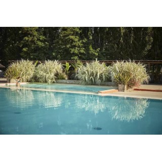 Camping in Provence ab 55€ pro Nacht