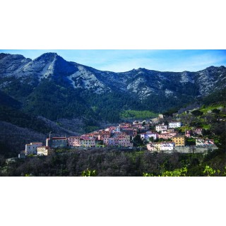 Ferienwohnung in Elba ab 41€ pro Nacht