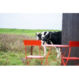 Ferienhaus in Wittmund ab 11€ pro Nacht