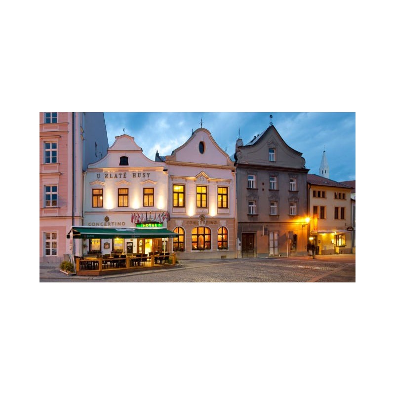 Hotel Concertino Zlatá Husa