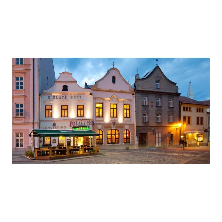 Hotel Concertino Zlatá Husa