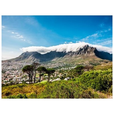 Rundreisen Südafrika, Mosambik, Botswana & Simbabwe: Afrikas Vielfalt: Von Kapstadt zu den Viktoriafällen