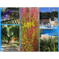 Le Parc De La Greve
