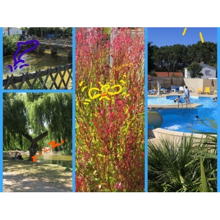 Le Parc De La Greve