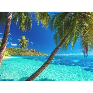 Kreuzfahrten Transpazifik: Kreuzfahrt mit Carnival Luminosa von Seattle bis Sydney