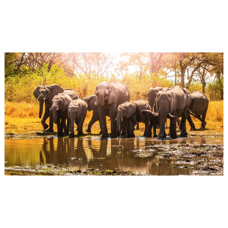 Rundreisen Namibia, Botswana & Simbabwe: Die Seele Afrikas hautnah erleben