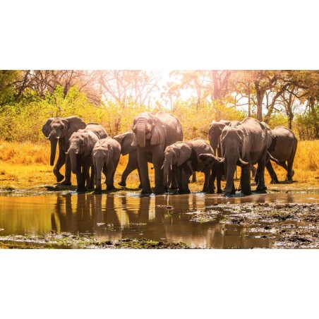 Rundreisen Namibia, Botswana & Simbabwe: Die Seele Afrikas hautnah erleben