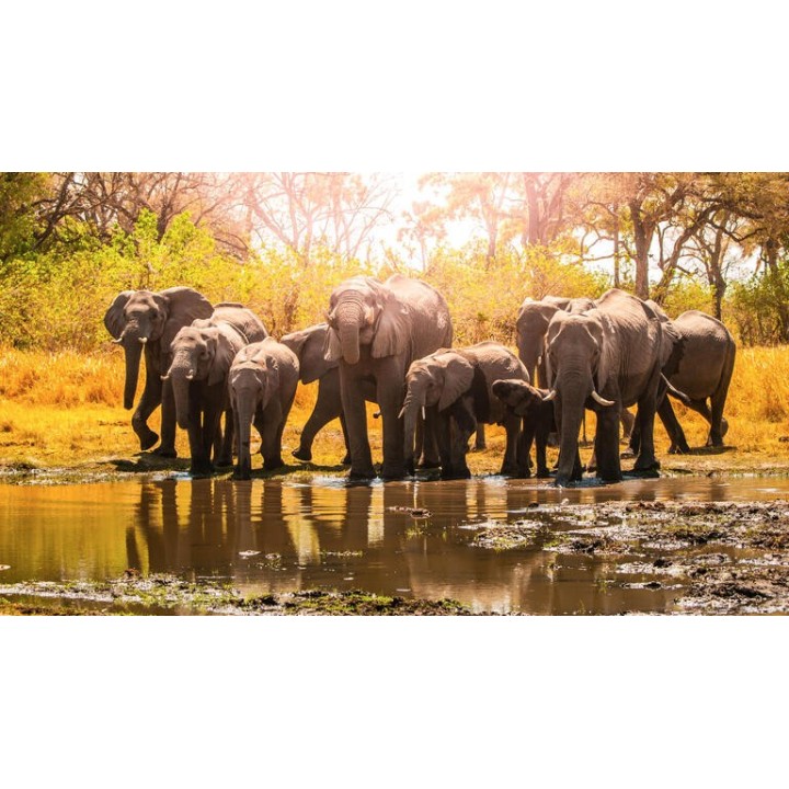 Rundreisen Namibia, Botswana & Simbabwe: Die Seele Afrikas hautnah erleben