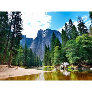 Rundreisen USA: Vom Großstadtfieber zur goldenen Küste - einmal quer durch Amerika