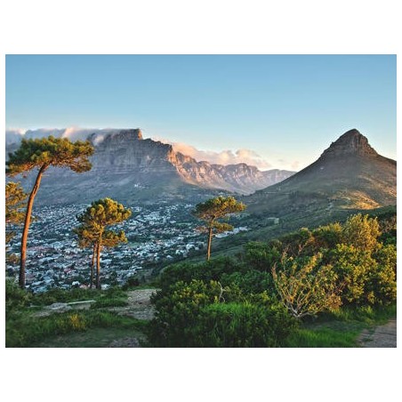 Rundreisen Südafrika: Unvergessliche Momente zwischen Kapstadt & Durban