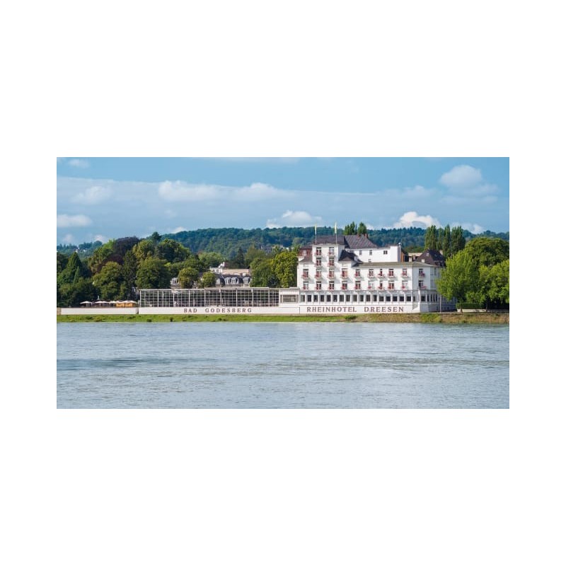 Rheinhotel Dreesen