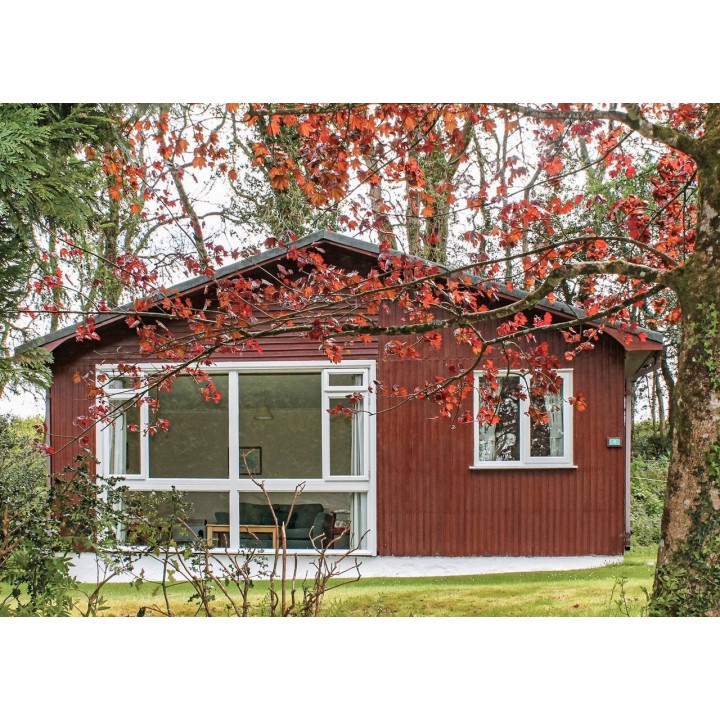 Ferienhaus in Cornwall ab 40€ pro Nacht