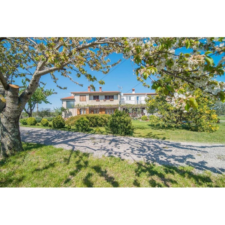 Ferienwohnung in Prodol ab 49€ pro Nacht