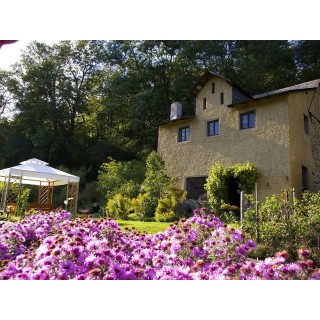 Ferienwohnung in Eifel ab 49€ pro Nacht