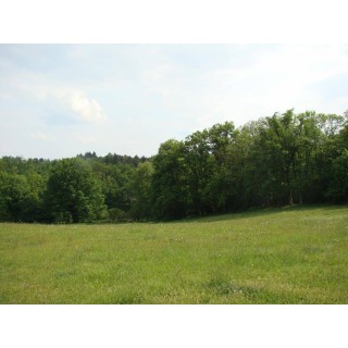 Ferienhaus in Limousin ab 49€ pro Nacht