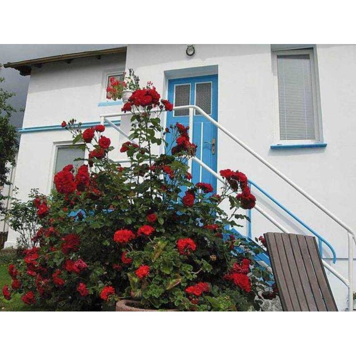 Ferienwohnung in Rügen ab 54€ pro Nacht