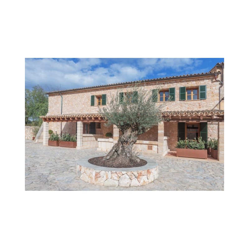 Hotel Rural Es Riquers