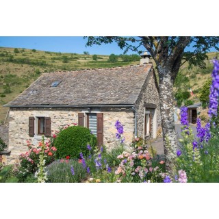 Ferienhaus in Lozère ab 42€ pro Nacht