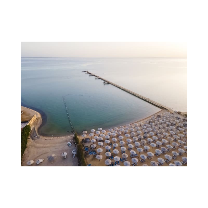 AMC Royal Hotel & SPA