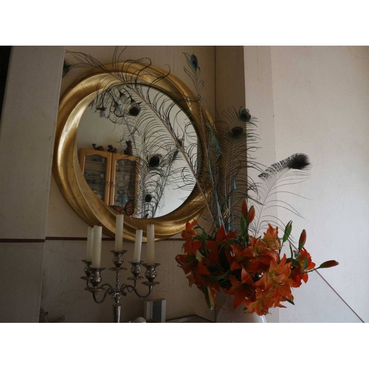 Ferienwohnung in Lausitz ab 35€ pro Nacht